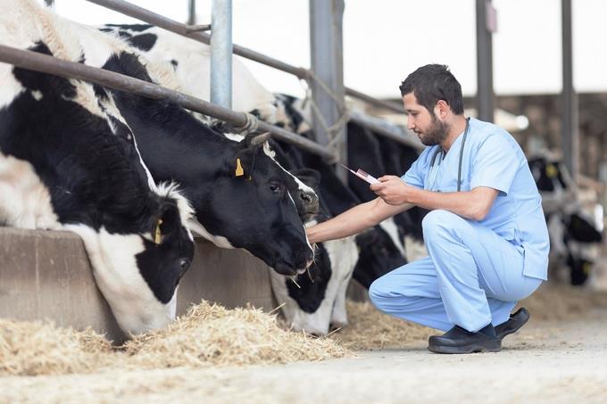 Veterinarios iniciarán paro de brazos caídos.