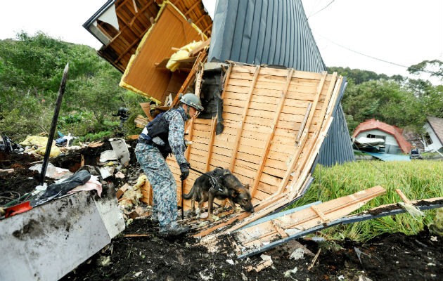 Un soldado de las Fuerzas de Autodefensa de Japón y su perro rastreador buscan desaparecidos entre los escombros de una casa destruida por el terremoto. Foto: EFE