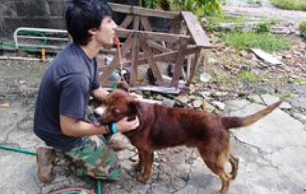 El perro era maltratado por su dueño, según denunciaron ciudadanos a través de las redes sociales.