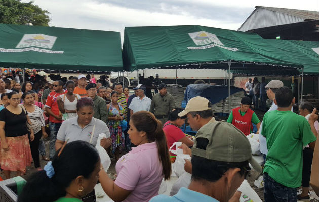 Buscan mantener un proceso para mantener el orden y la seguridad en las Naviferias.