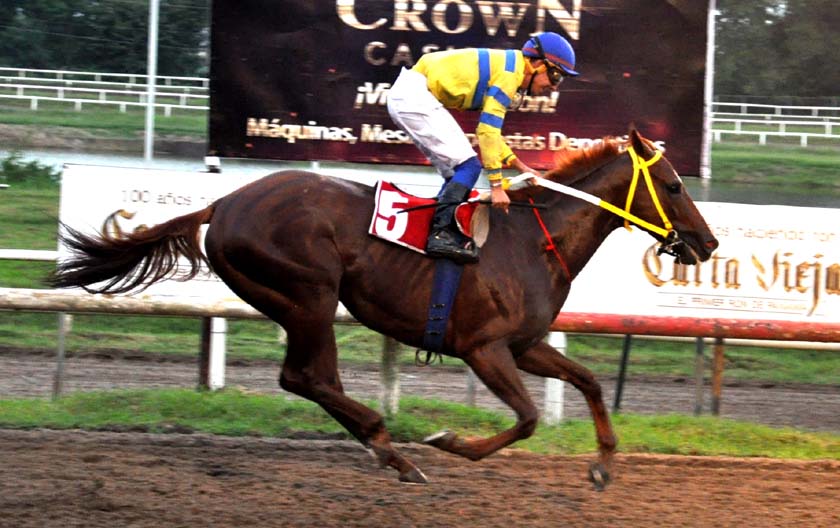 Fray Angélico competirá por tercera vez en la Serie del Caribe.