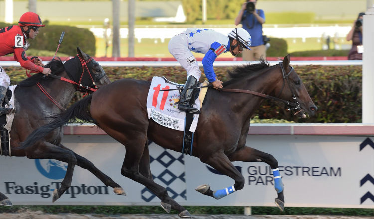  The Brother Slew  cruza la línea de meta y gana el clásico del Caribe. Foto @GulfstreamPark