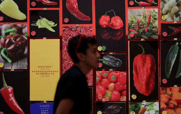 Exhibición Picante en el Biomuseo de Ciudad de Panamá. Foto/ EFE 