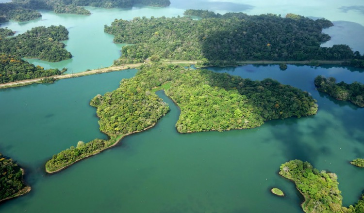 El lago Gatún abastece a varias  potabilizadoras del sector oeste. Tomada de Internet