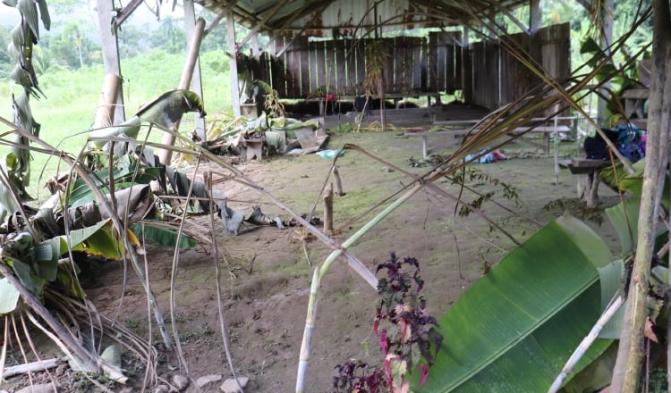 Los pastores de la secta 'La Nueva Luz de Dios' golpearon con palos y machetes a sus víctimas. Foto: Cortesía.