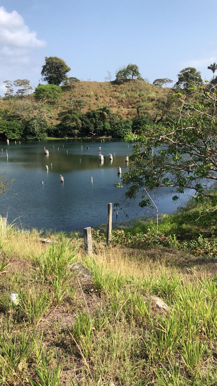  Al arrojarse al lago, uno de ellos salió, pero no Abdul, lo que obligó a su acompañante a llamar a las autoridades. Foto/Diomedes Sánchez