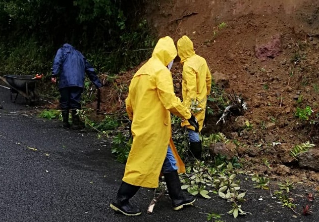 En varios sectores reportaron la caída de árboles, y hubo deslizamientos de tierra.