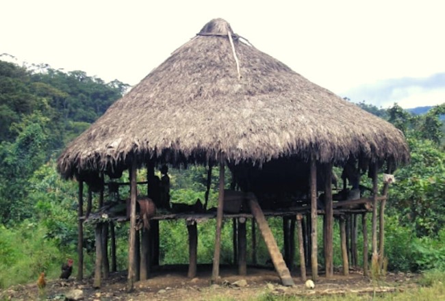 Casas de tambo: las viviendas ancestrales que han cambiado su estilo  tradicional | Panamá América