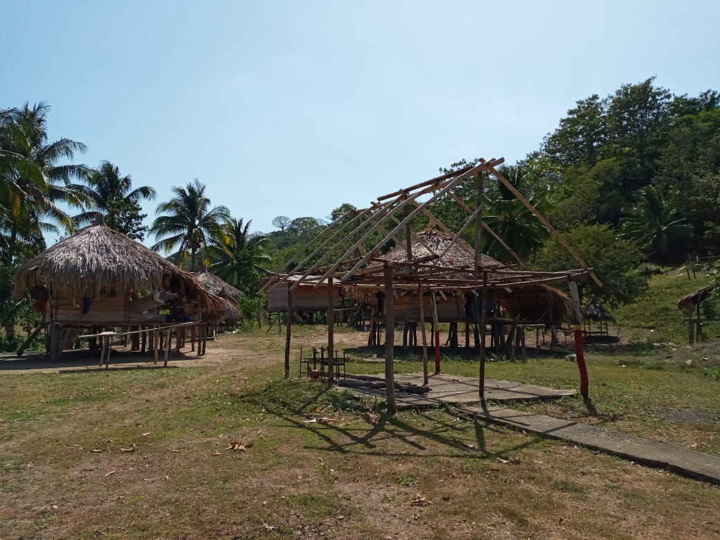 Casas de tambo: las viviendas ancestrales que han cambiado su estilo  tradicional | Panamá América