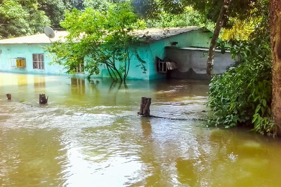 Estas cuatro localidades, pertenecientes a la capital regional Maracay, albergan a más de medio millón de habitantes y han registrado otras inundaciones este año debido al desborde de ríos, siempre antecedido por intensas precipitaciones.