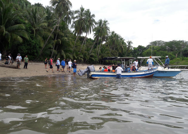 Dos hombres con heridas de consideración tras duelo a machetazos en Isla  Leones, distrito de Montijo | Panamá América