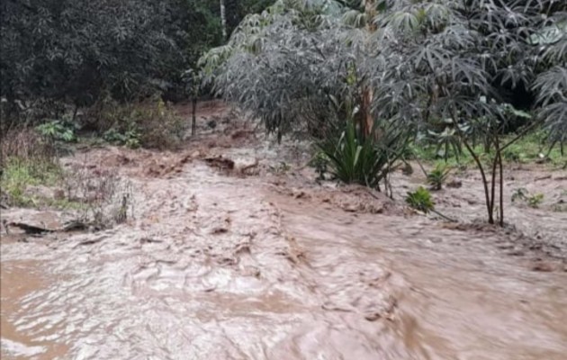 Ante el aviso de los moradores, personal de protección civil se trasladó al área para conocer la situación y las afectaciones  producto del mal tiempo en la zona.