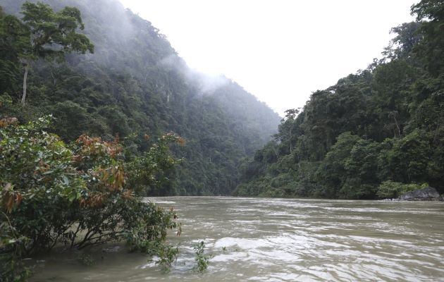 Los resultados reflejan que para el 2017, en Panamá hubo un balance entre emisiones y absorciones de GEI de - 9,758.3 kt CO2.