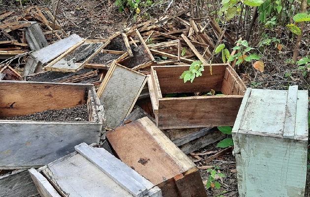 Utilizaron el insecticida ‘hormitox’ para acabar con las abejas de unas 19 colmenas.