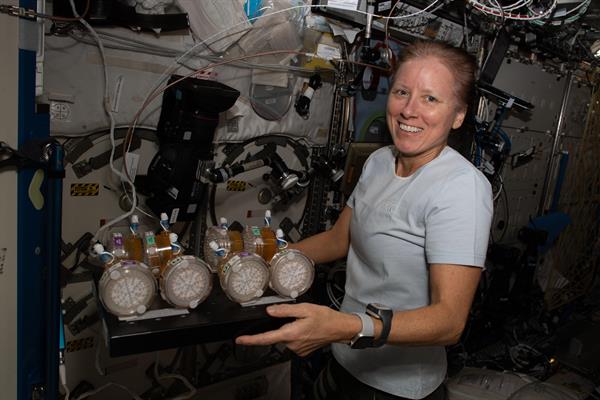 Fotografía cedida por la NASA donde aparece la astronauta estadounidense Shannon Walker, de la tripulación de la llamada SpaceX Crew-1 mientras trabaja en la Estación Espacial Internacional.