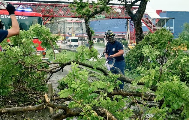 Bomberos atienden caídas de árboles y desprendimiento de techos en Panamá y Panamá Oeste. Foto: Cortesía Bomberos de Panamá