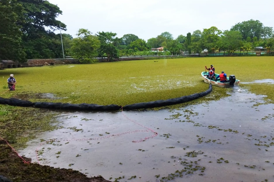 Desde la semana pasada se efectúan las labores de retiro de la planta. Foto: Thays Domínguez