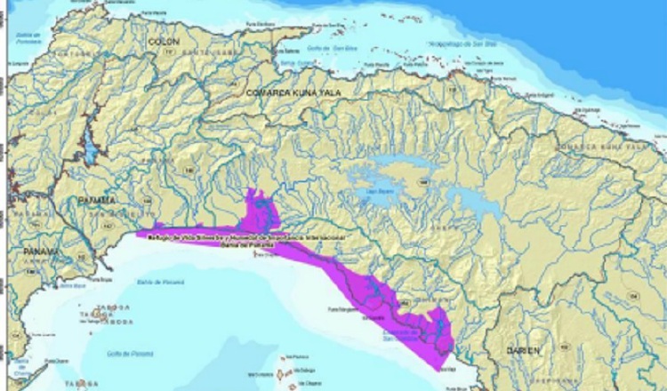 Este es el área que abarca el Humedal Bahía de Panamá, que se extiende desde Juan Díaz hasta el estero de Chimán, cerca a Darién.  Foto:Cortesía