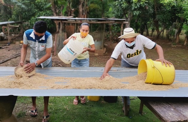 Al proyecto se ha incorporado la comercialización de cultivos, para que las familias obtengan ingresos económicos propios. Foto: Cortesía Mides