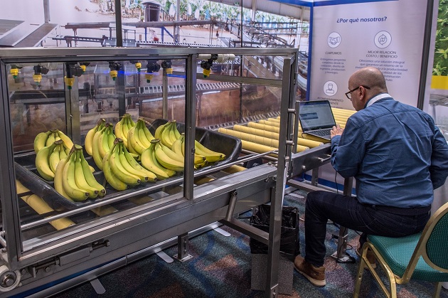 Según las autoridades costarricenses, entre los productos que se están viendo afectados se encuentran la fresa, la piña, el banano, los lácteos, la carne y los embutidos de bovino, cerdo y aves. Foto: EFE