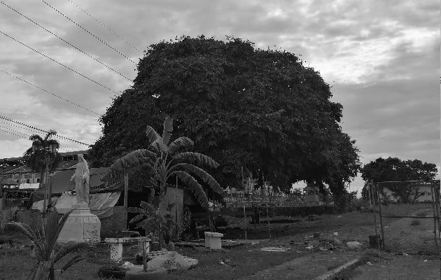 Han levantado una casucha de madera que a simple vista parece una guarida de indigentes y que opaca la imagen de un cristo.  Foto: Cortesía de la autora, Johanee Holder