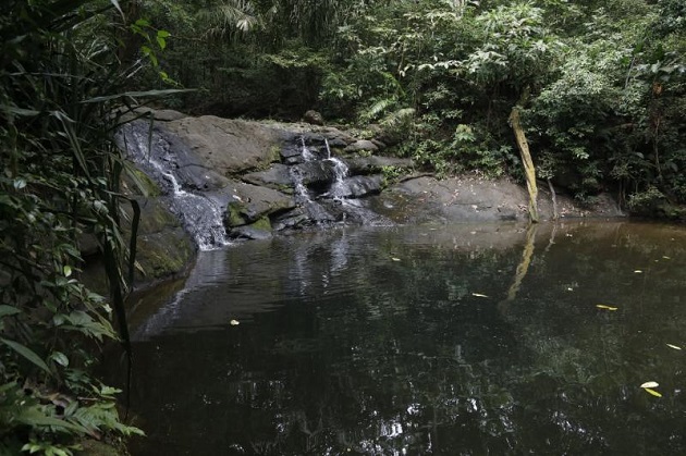 Fundación Natura: Las áreas protegidas de Panamá son como laboratorios  vivos | Panamá América