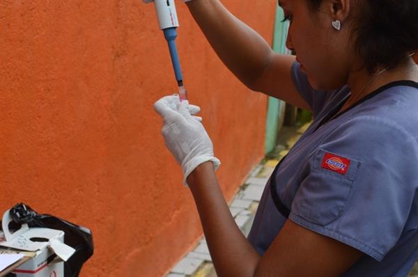 Una de las investigadoras procesa las muestras recogidas de los participantes en el Estudio de Cohorte del Dengue Pediátrico en Managua. Foto: Paolo Harris Paz.