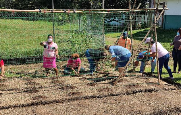 Estas familias recibieron con anterioridad herramientas como pollos de engorde, semillas, abonos, fertilizantes y demás insumos y materiales. Foto: Diomedes Sánchez