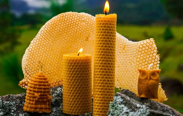 Velas de miel': El emprendimiento chiricano que combina ecología y  artesanía