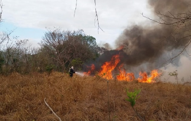 El Ministerio de Ambiente cuenta con un plan estratégico para la prevención y control de los incendios dentro de cuatro áreas protegidas de las quince existentes en la provincia de Los Santos. Foto. Thays Domínguez