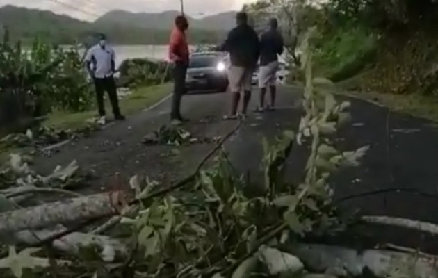 Los moradores colocaron en la entrada de la población histórica, ramas y troncos de árboles, lo que provocó que se paralizara el tráfico vehicular. Foto. Diomedes Sánchez