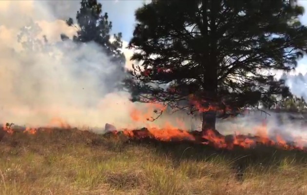 Es importante mencionar que el punto afectado no está dentro del Parque Nacional Volcán Barú y no es consideraba una área protegida. Foto. Mayra Madrid