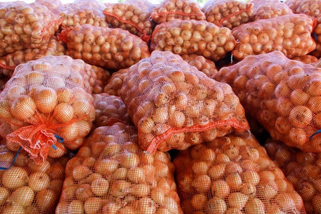 La mayor producción de este rubro se realiza en las provincias de Chiriquí, Coclé, Herrera y Los Santos, y en este último ciclo agrícola se obtuvo un aumento. Foto: Cortesía