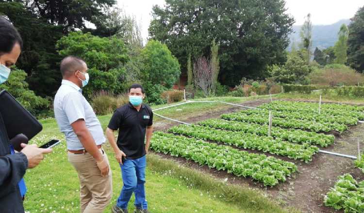 El doctor Carlos González (dcha.)  trabaja en poner la Informática al servicio de las Ciencias Agropecuarias, en la principal zona de producción agrícola del país. Foto: Cortesía