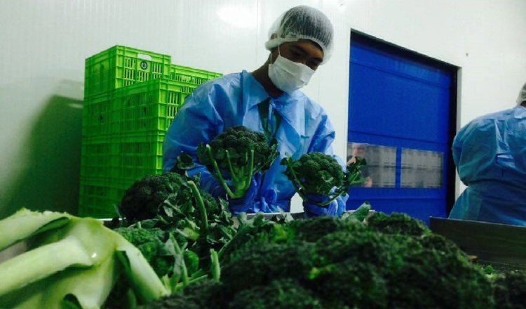 Productores, comercializadores y consumidores en alerta por paro de transportista de carga agrícola en Tierras Altas. Foto: Archivos