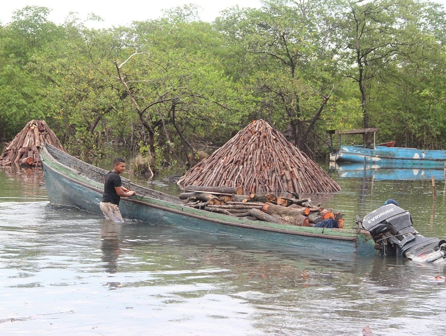 Se contempla la compra de lanchas para incentivar a los carboneros a la pesca artesanal. Foto: Eric A. Montenegro