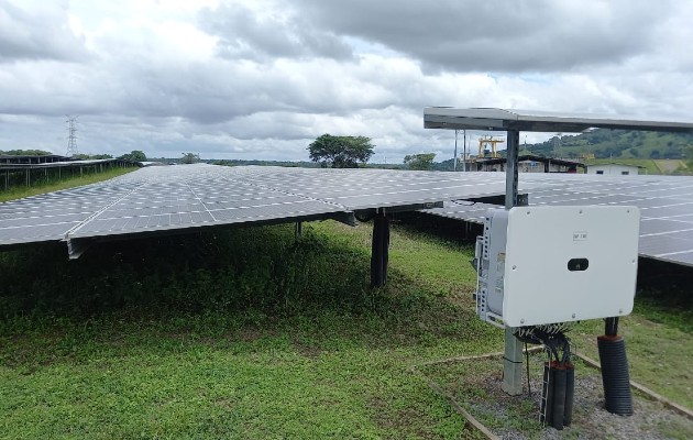 Paneles Solares para Granjas: 7 Ventajas de una Instalación