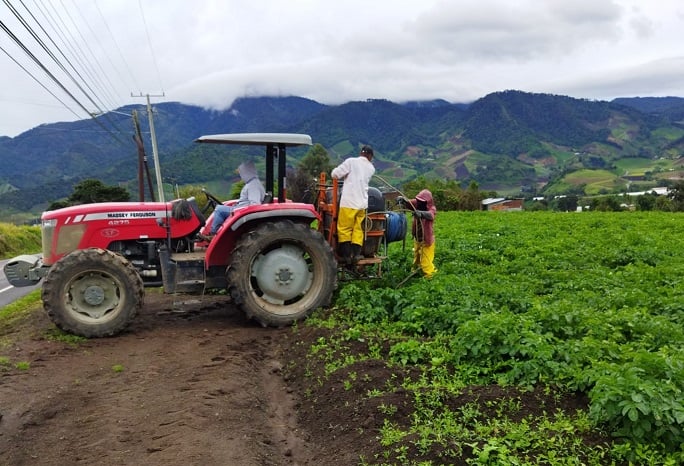 Por la falta de comercialización del producto, no tienen cómo hacer frente al pago de los trabajadores. Foto: José Vásquez 