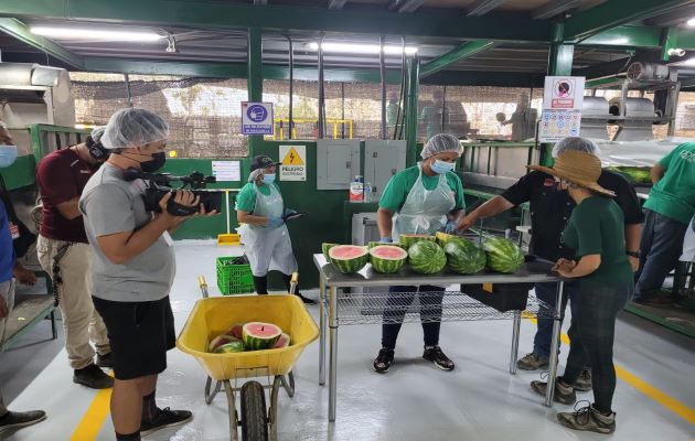 La cifra representa un incremento en las agroexportaciones de $14,4 millones, en comparación al mismo periodo al año 2021. Foto: Cortesía Mida