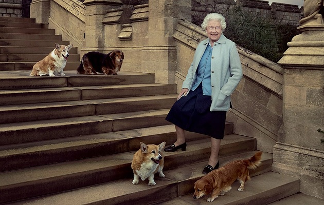 La reina Isabel II adoraba a los animales.