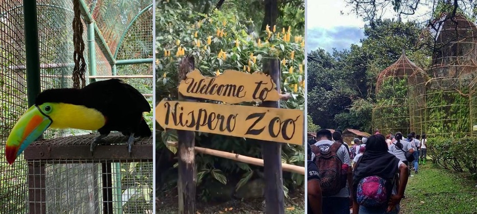 Tras la noticia muchos han comentado que la decisión se comprende. Foto: @nisperozoo