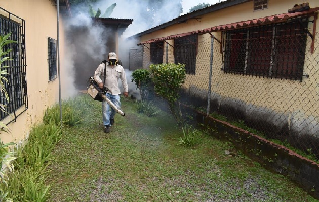 El último informe indica que la semana pasada el índice de infestación del mosquito aedes aegypti fue elevado en los corregimientos de Las Lajas y en el sector de Elisa Chiari de David era del 4.8%. Foto. Mayra Madrid