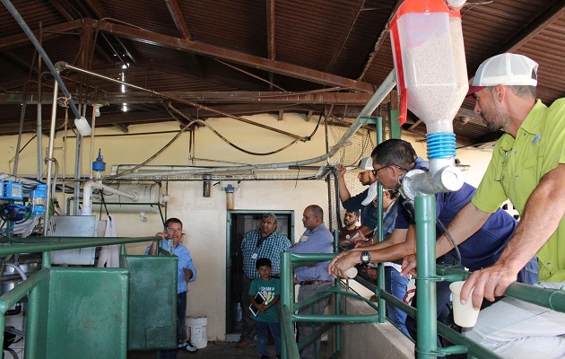 El programa también almacena datos  de las vacas, fecha de nacimiento, progenitores. Foto: Senacyt