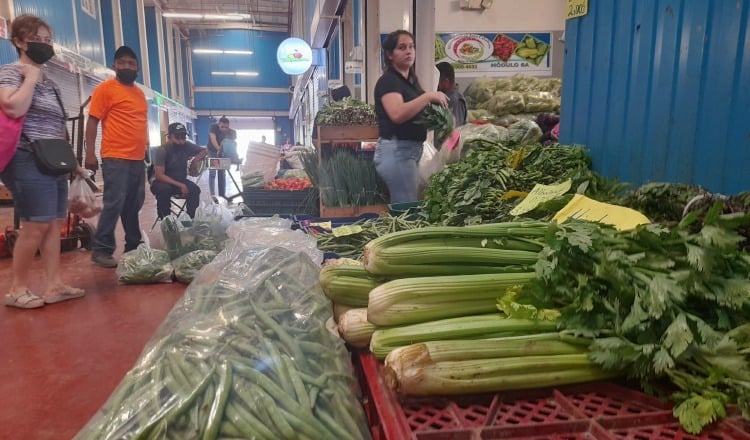 Entre las legumbres más conocidas y consumidas se destacan los frijoles, los frijoles blancos, las habas, los garbanzos, los guisantes o arvejas y  lentejas. Cortesía