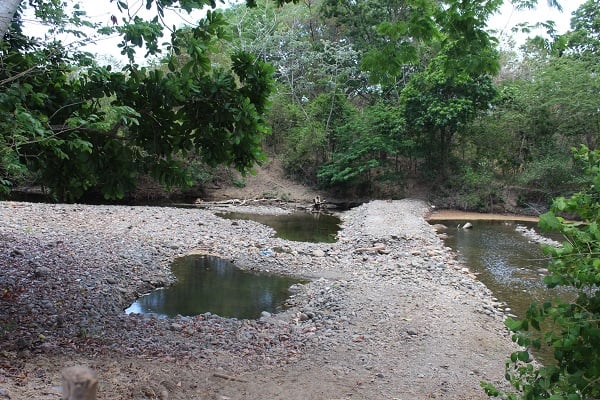 Se debe suspender cualquier extracción o retención de agua no autorizada para que el vital líquido pueda llegar a la parte baja a donde están las comunidades y los humedales. Foto. Eric Montenegro