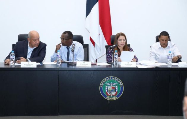 Comisión de Gobierno, Justicia y Asuntos Constitucionales. Foto: Cortesía Asamblea Nacional