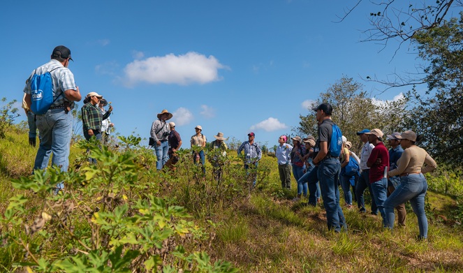 Con estas capacitaciones se espera mejorar la productividad. Foto: Cortesía