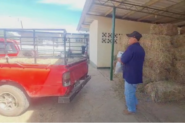 La ayuda técnica ha ido llegando para apoyar a los ganaderos en esta dura situación. Foto. Thays Domínguez