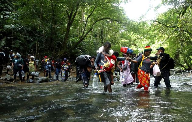 Wandermut, una empresa alemana que ofrece experiencias por el Darién por $4,000. Foto: EFE