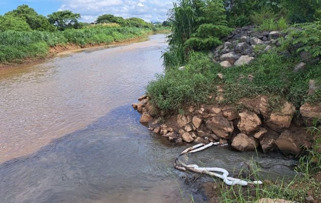 El agua del río Juan Díaz tiene una coloración oscura. Foto: Cortesía MiAmbiente